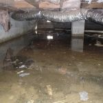 Starline Water Damage