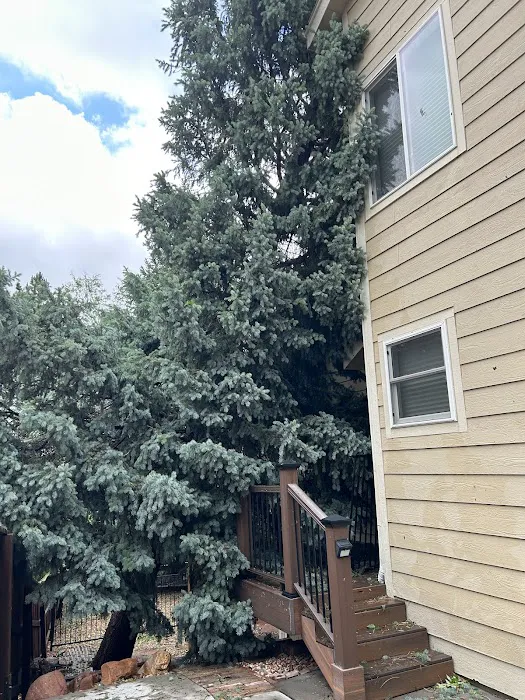 All Phase Restoration Denver Picture 4