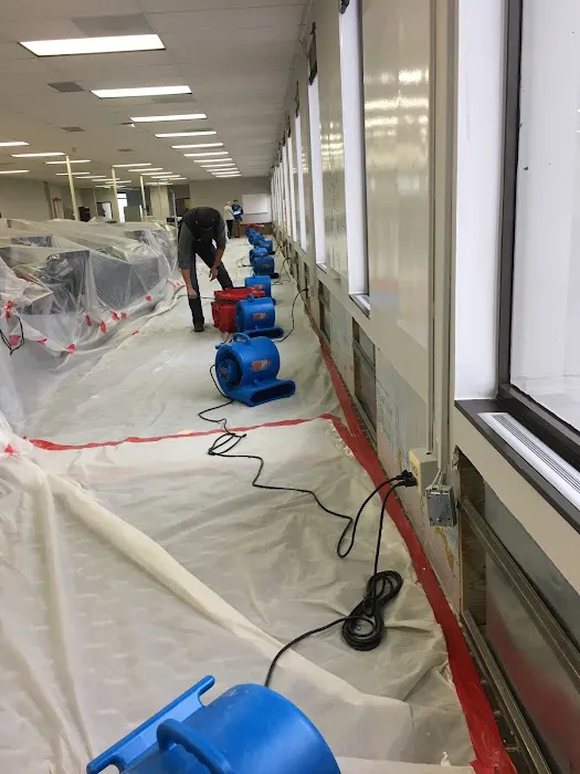 All Phase Restoration Denver Picture 9