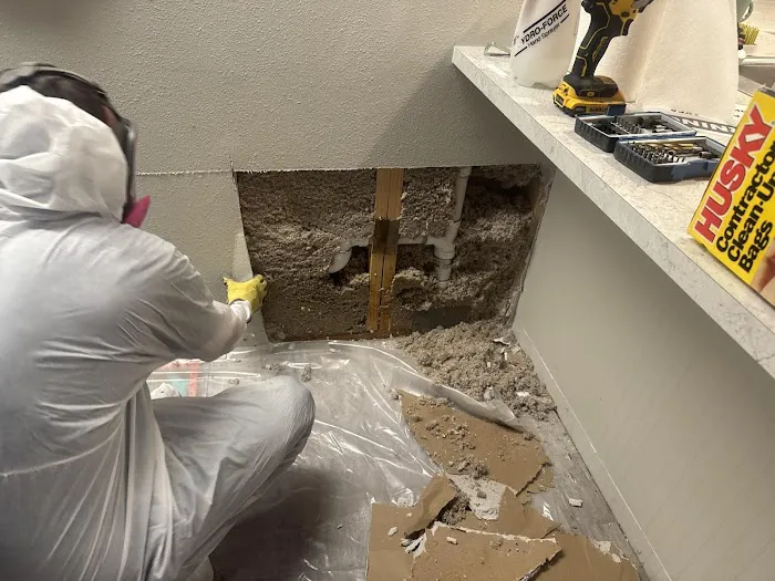 Best Option Restoration of Lakewood Picture 4