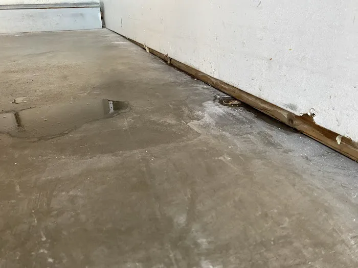 Stanley Steemer Picture 9