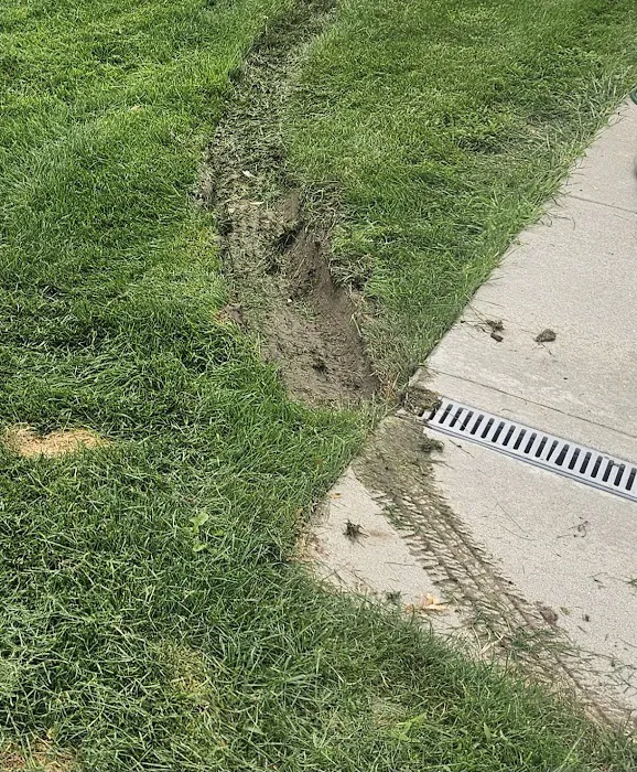 Stanley Steemer Picture 8