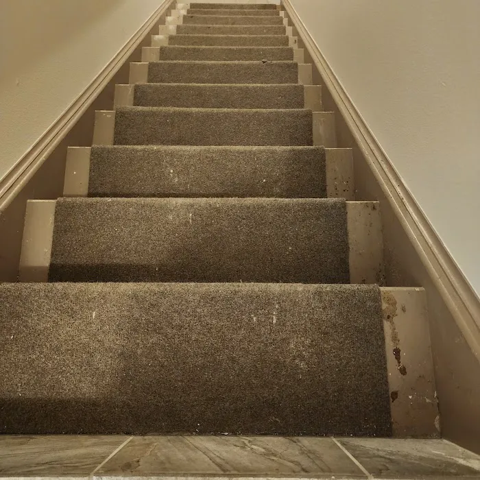 Stanley Steemer Picture 6