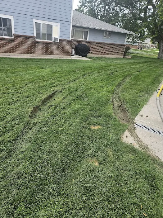 Stanley Steemer Picture 3