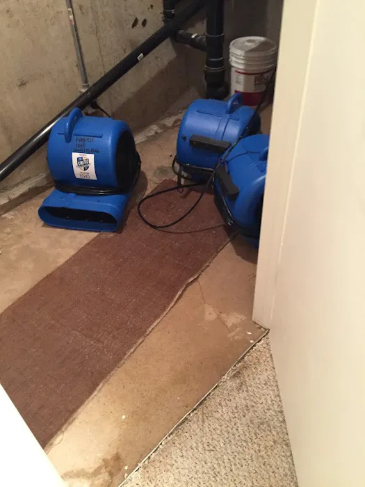 Kinetic Restoration Picture 2