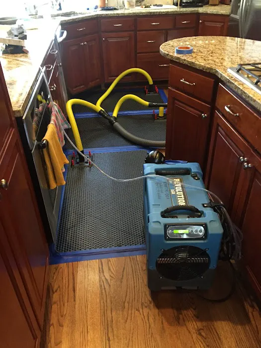 Kinetic Restoration Picture 4