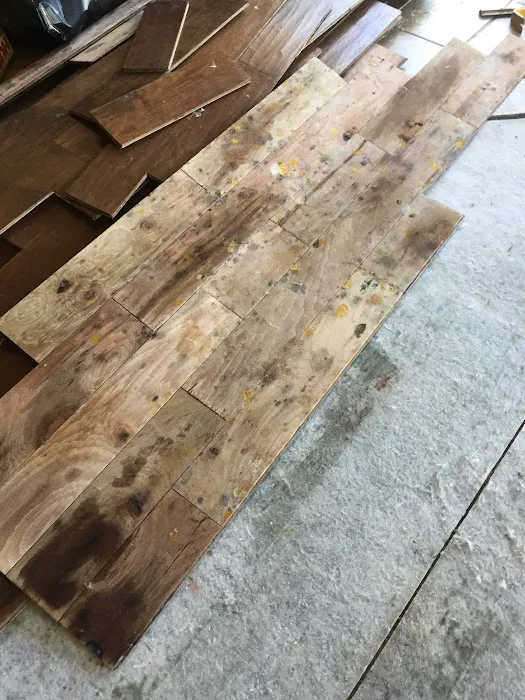 Kinetic Restoration Picture 8