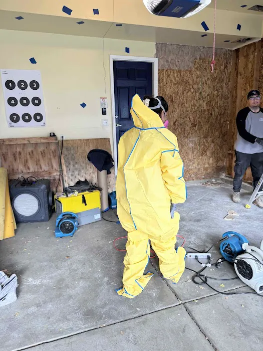 BoneDry Services Picture 4