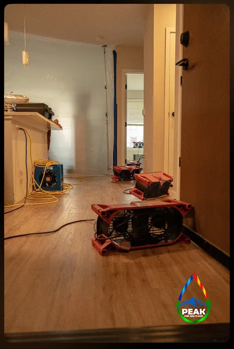 Peak Fire and Flood Picture 9