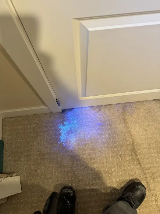 All Dry Services of Denver Picture 7