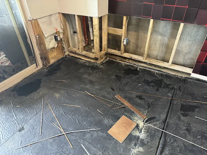 All Dry Services of Denver Picture 4