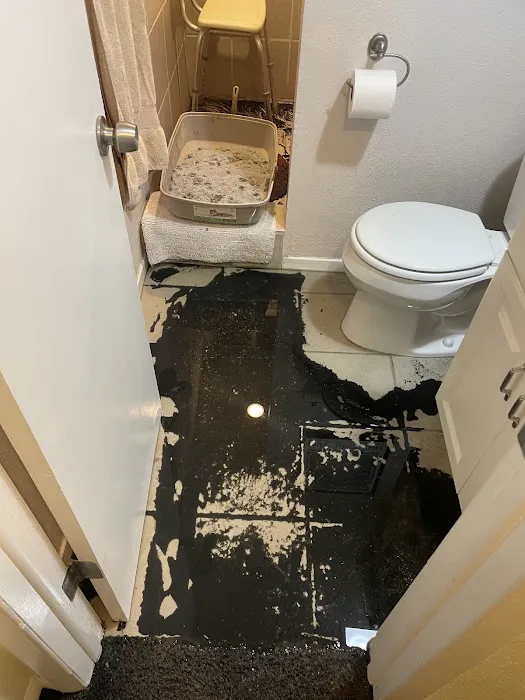 Colorado Cleanup Services Picture 2