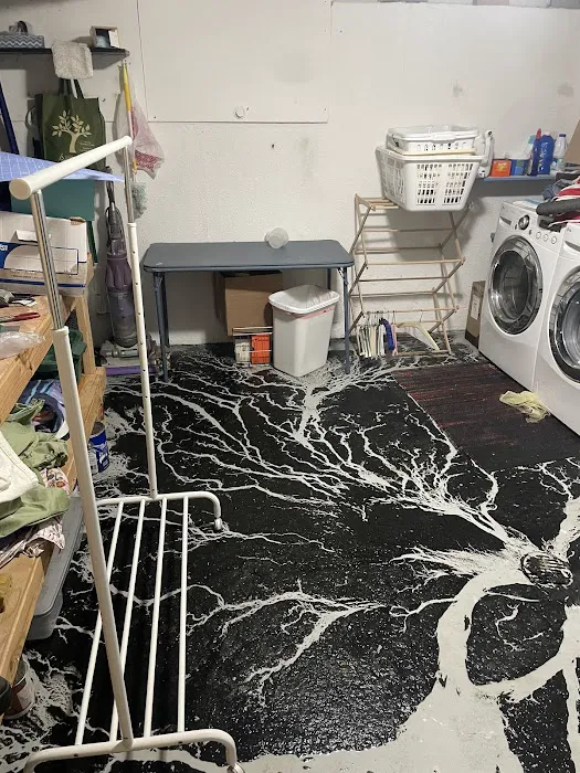 Colorado Cleanup Services Picture 3