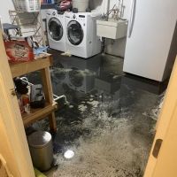 Colorado Cleanup Services ico