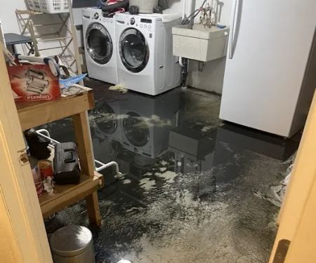 Colorado Cleanup Services