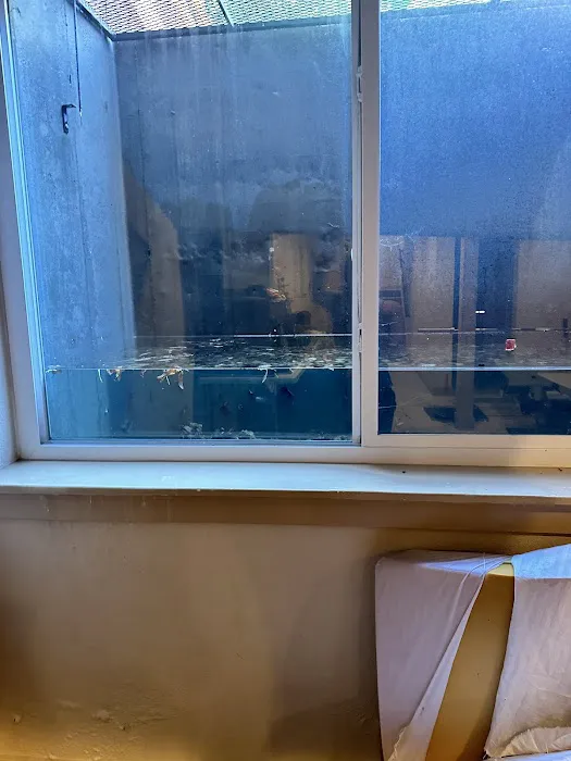 Colorado Cleanup Services Picture 6