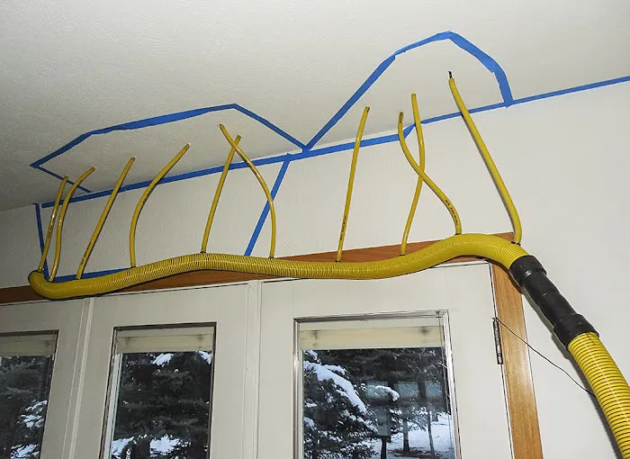 Belmont Carpet Cleaning + Flood Restoration Picture 3