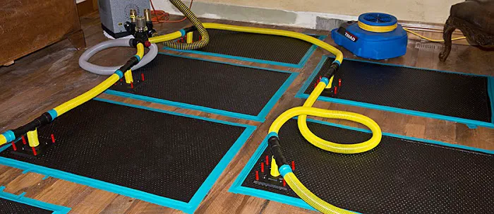 Belmont Carpet Cleaning + Flood Restoration Picture 7