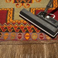 Belmont Carpet Cleaning + Flood Restoration ico