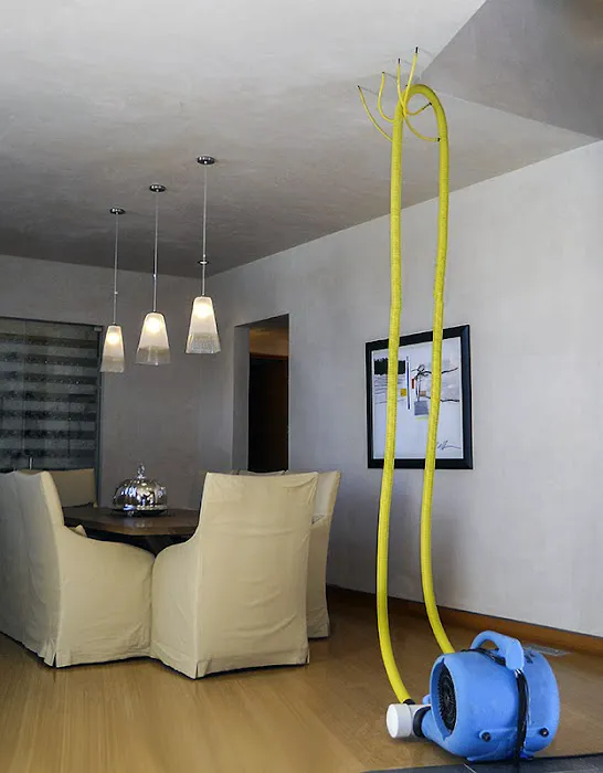 Belmont Carpet Cleaning + Flood Restoration Picture 5