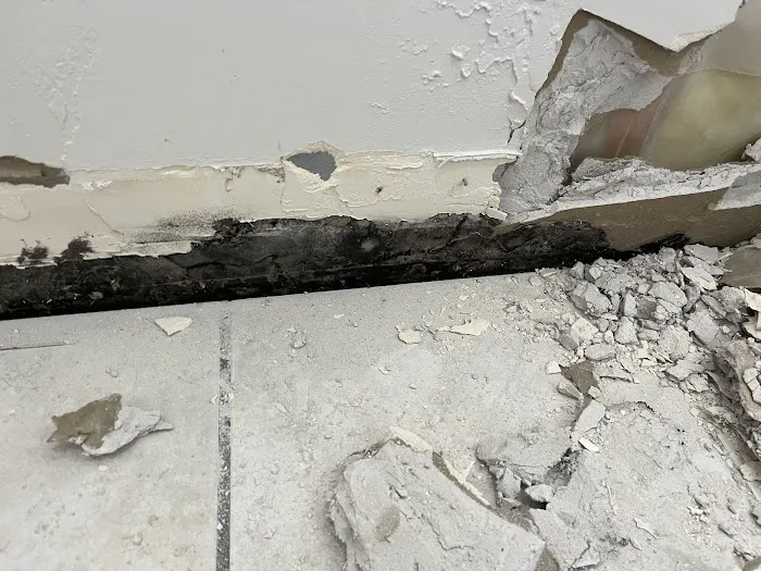 Belmont Clean Healthy Carpet Cleaning and Flood Restoration Picture 7