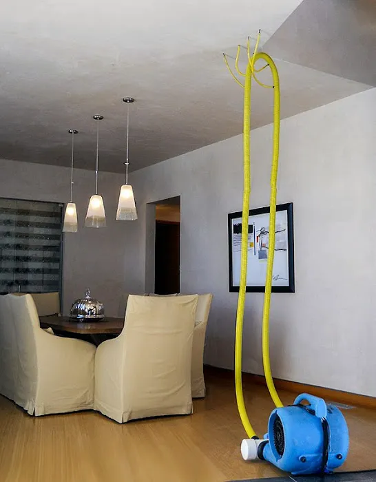 Belmont Clean Healthy Carpet Cleaning and Flood Restoration Picture 8