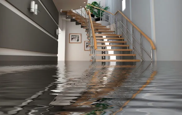 Belmont Clean Healthy Carpet Cleaning and Flood Restoration Picture 6