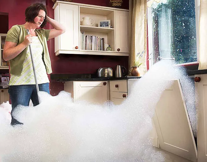 Belmont Clean Healthy Carpet Cleaning and Flood Restoration Picture 4