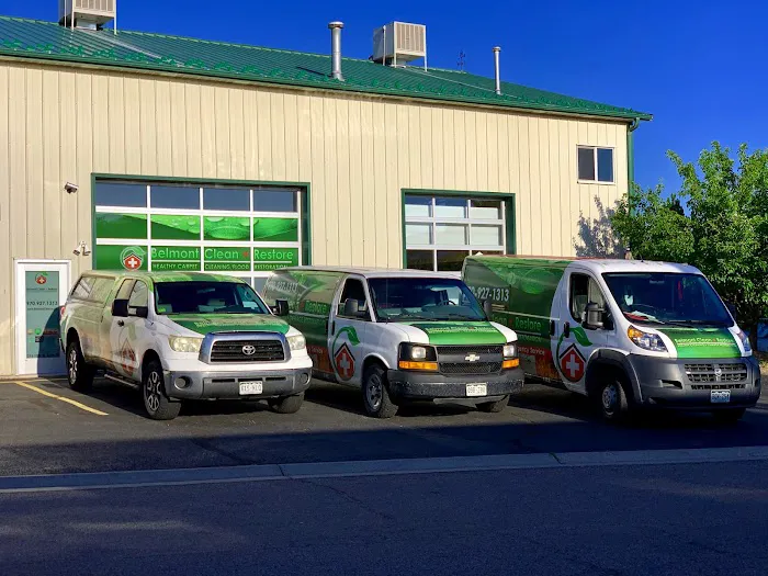 Belmont Clean Healthy Carpet Cleaning and Flood Restoration Picture 3