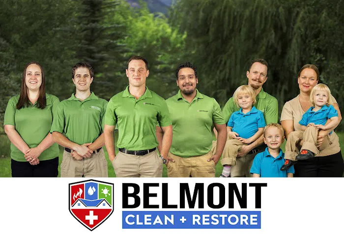 Belmont Clean Healthy Carpet Cleaning and Flood Restoration Picture 9