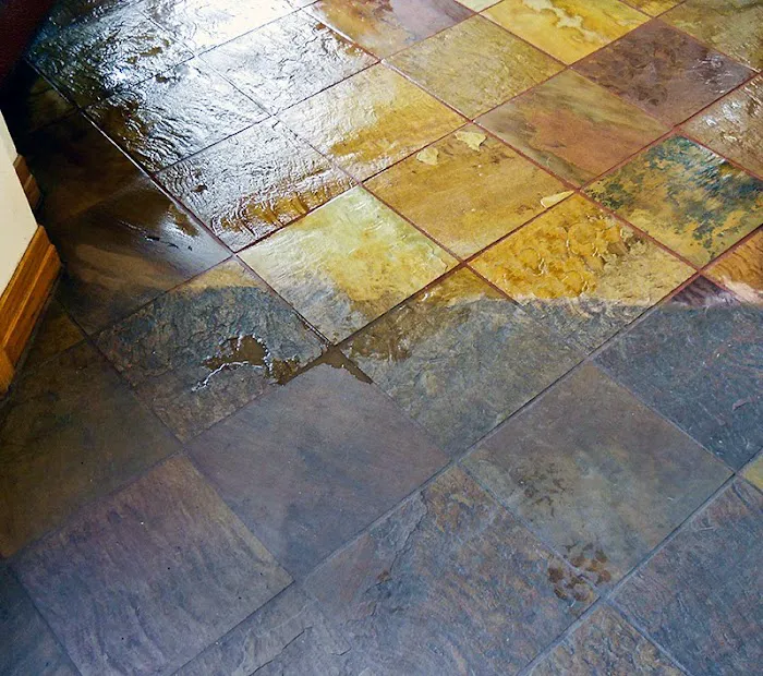 Belmont Clean Healthy Carpet Cleaning and Flood Restoration Picture 2