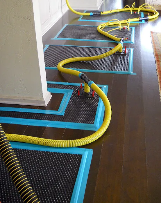 Belmont Clean Healthy Carpet Cleaning and Flood Restoration Picture 1