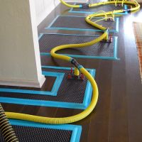 Belmont Clean Healthy Carpet Cleaning and Flood Restoration ico