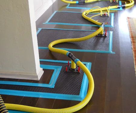 Belmont Clean Healthy Carpet Cleaning and Flood Restoration