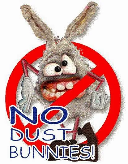 Mr Vac Cleaning and Restoration Picture 5