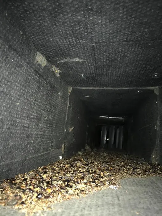 Mr. Vac Cleaning and Restoration Picture 9