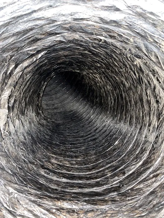 Mr. Vac Cleaning and Restoration Picture 4