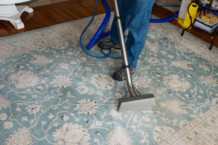 Rash and Son Carpet Cleaning Picture 3