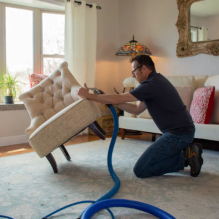 Rash and Son Carpet Cleaning Picture 2