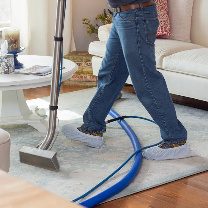 Rash and Son Carpet Cleaning Picture 4