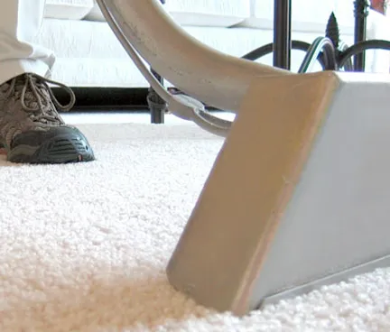 Rash and Son Carpet Cleaning Picture 7