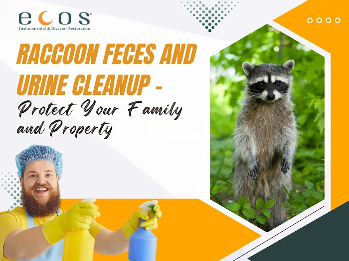 ECOS Environmental & Disaster Restoration, Inc. Picture 6