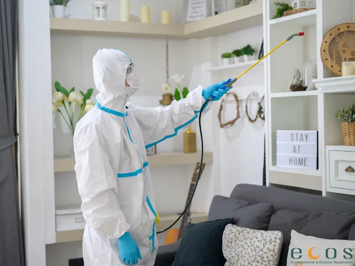 ECOS Environmental & Disaster Restoration, Inc. Picture 9