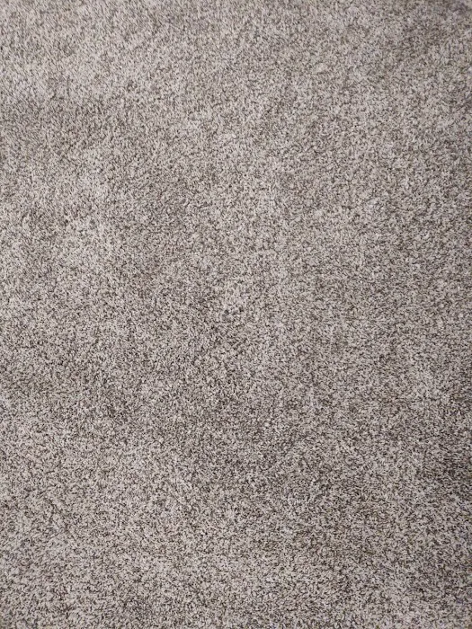 Steve's Carpet Cleaning and Restoration Picture 5