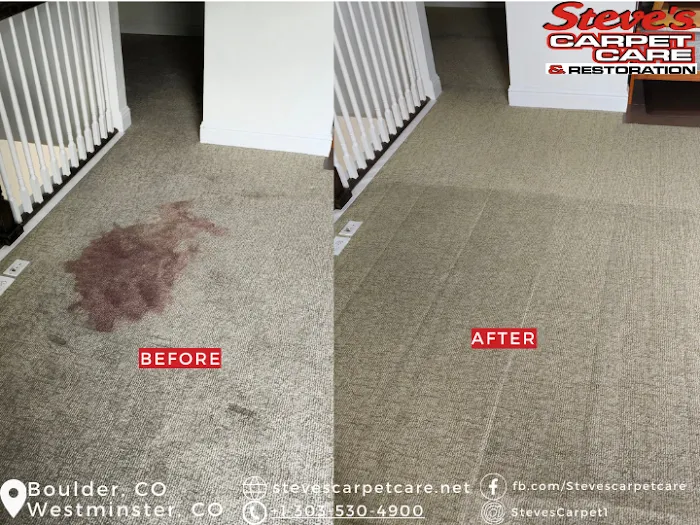 Steve's Carpet Cleaning and Restoration Picture 6