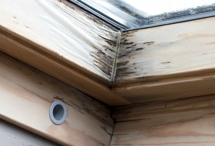 Restoration Logistics Picture 7