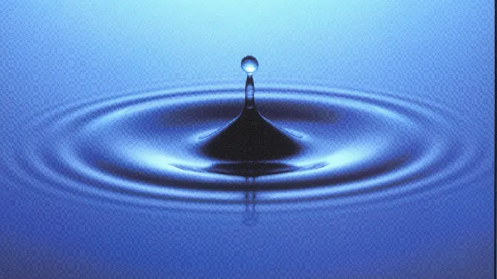 Restoration Logistics Picture 5