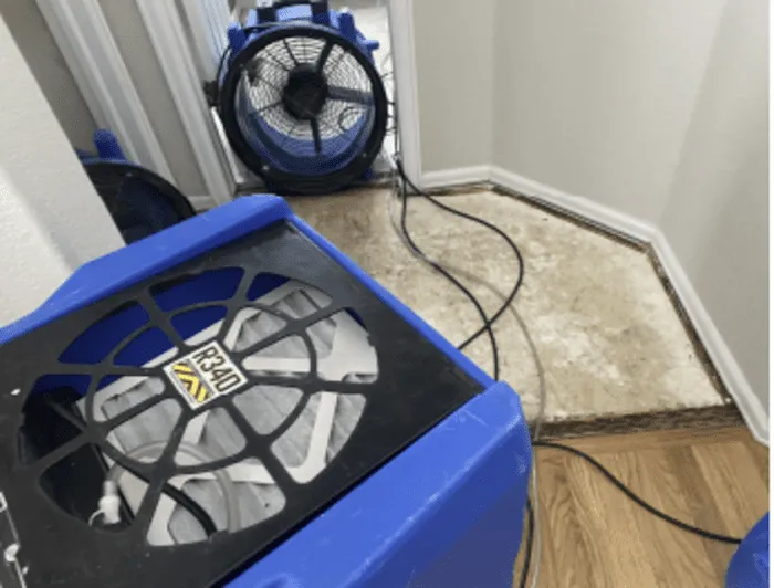 Rainbow International of Longmont Picture 4