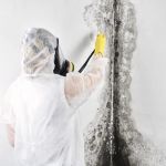 Water Damage Restoration Pro