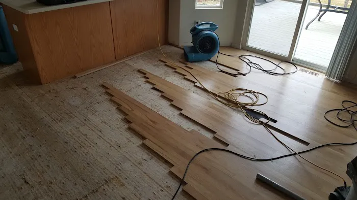 Rapid Dry Restoration Picture 1